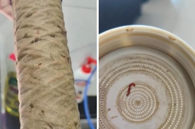 Red Larvae Found In Pune's Hinjawadi Water Purifier Spark Concern Over Quality