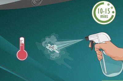 The Best Ways to Clean Bird Poop Off Your Car