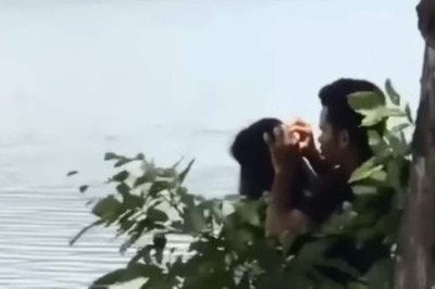 'Boyfriend of the Year': Man Picks Lice From Partner's Hair on Date in Viral Video