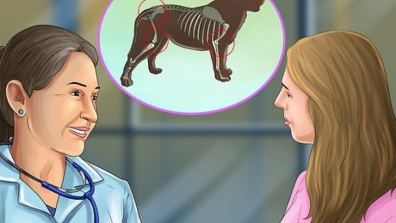 How to Exercise a Dog with Arthritis