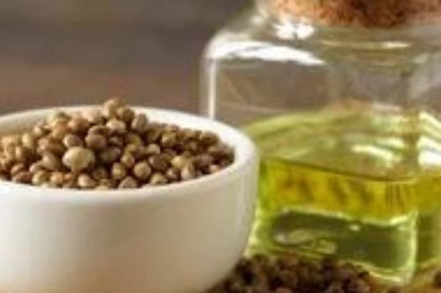 Wondering Why Hemp Seed Oil Is Being Perceived As A Wonder Element? We Have All The Answers For You