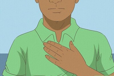 How to Treat Nosebleeds in Dogs