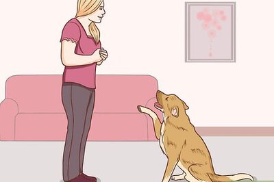 How to Communicate With Your Dog