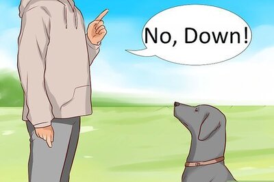 How to Restrain a Dog