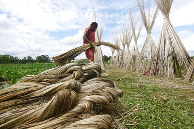 Centre Rejects Mills' Plea to Import Raw Jute from Bangladesh