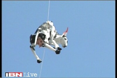 Rajasthan: Police officers removed after ruckus over cow art work