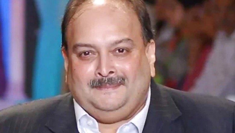 India Activates Diplomatic Channels to Bring Back Mehul Choksi; Envoy to Visit Dominica Next Week