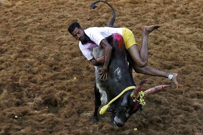 RSS Bats for Jallikattu, Says It's Not Cruelty but Playing with the Bull