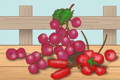 How to Find Safe Vegetables and Fruit for Horses