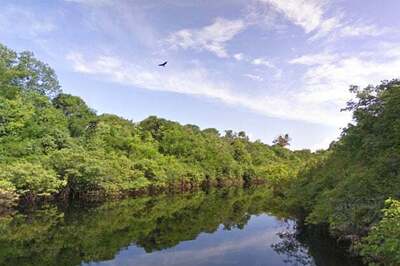 Take a trip through the Amazon Basin on Street View