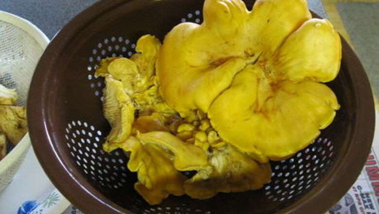 How to Dry Saute Mushrooms