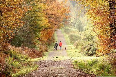 How to Memorize Quickly