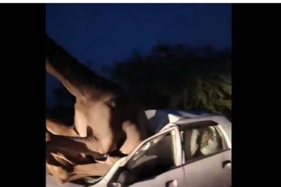 WATCH | Camel Gets Stuck In Windscreen Of Car In Rajasthan