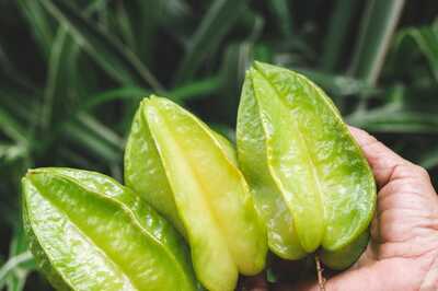 From Weight Loss to Cardiovascular Health: 6 Magical Health Benefits of Star Fruit