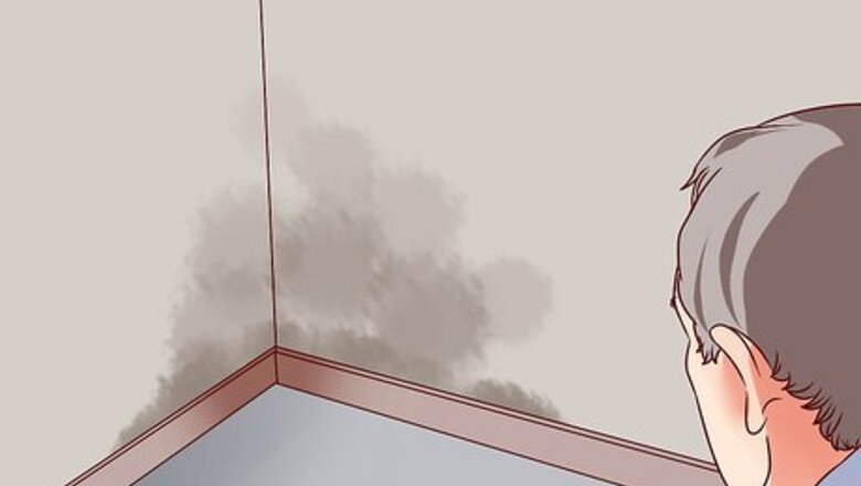 How to Deal With Exposure to Potentially Toxic Mold