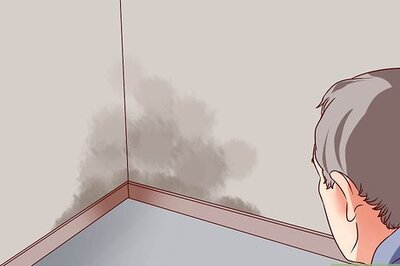 How to Deal With Exposure to Potentially Toxic Mold