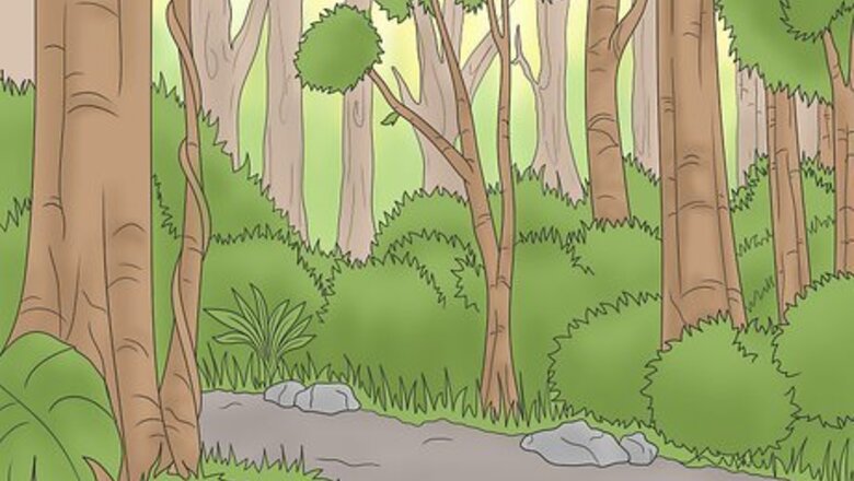 How to Be Prepared for a Hike