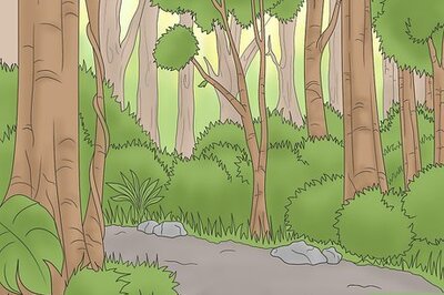 How to Be Prepared for a Hike