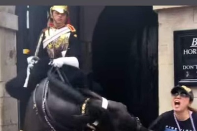 Watch: King’s Guard Horse Bites Tourist Trying To Get A Picture With It