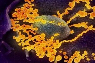 Equity Mutual Funds Give 25 Percent Negative Returns to Investors Due to Coronavirus Impact