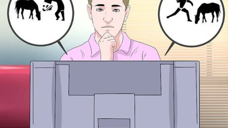 How to Gain the Trust of a Recently Abused Horse