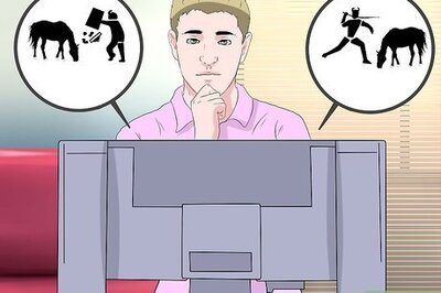 How to Gain the Trust of a Recently Abused Horse