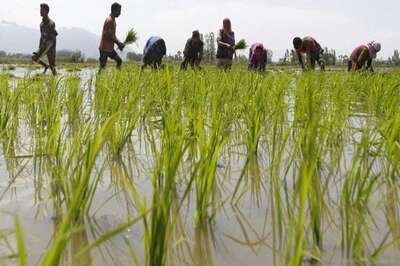 Tamil Nadu: Device to aid farmers in water cultivation developed by students