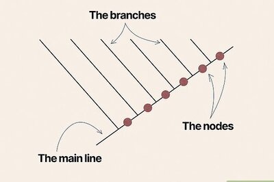 How to Read a Cladogram (and Make Your Own)