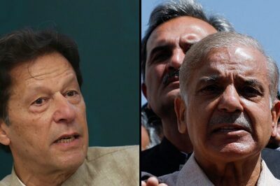Testing Times for Pak: Prez Alvi to Soon Ask PM Sharif to Face Vote of Confidence, Says Imran Khan