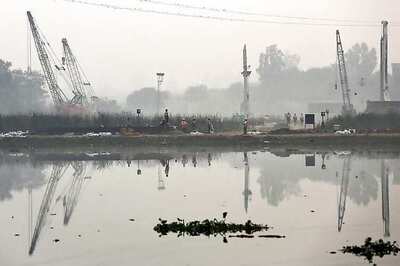 NGT Directs Inspection of AOL Site on Yamuna to Assess Damage