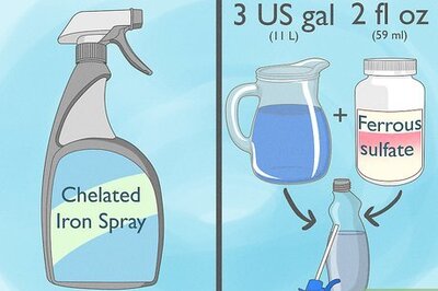 How to Give Plants Iron