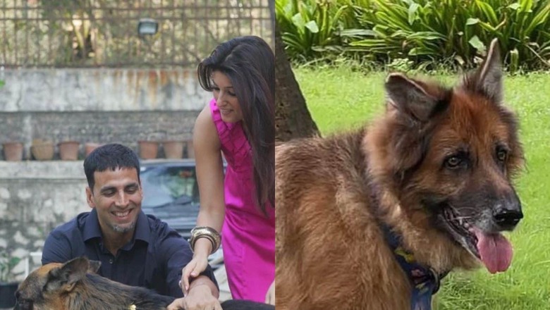 Akshay Kumar-Twinkle Khanna Mourn Demise of Pet Dog Cleo: You Took a Part of Our Hearts With You Today’
