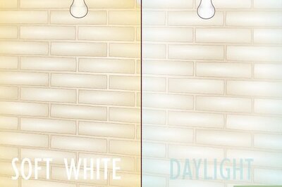 Soft White & Daylight Bulbs: What’s the Difference?