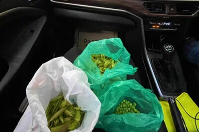 Peak Bengaluru Moment: Woman Peels Vegetables While Stuck In Traffic