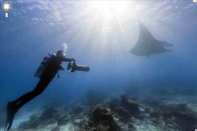 Google Maps goes underwater with panoramic images