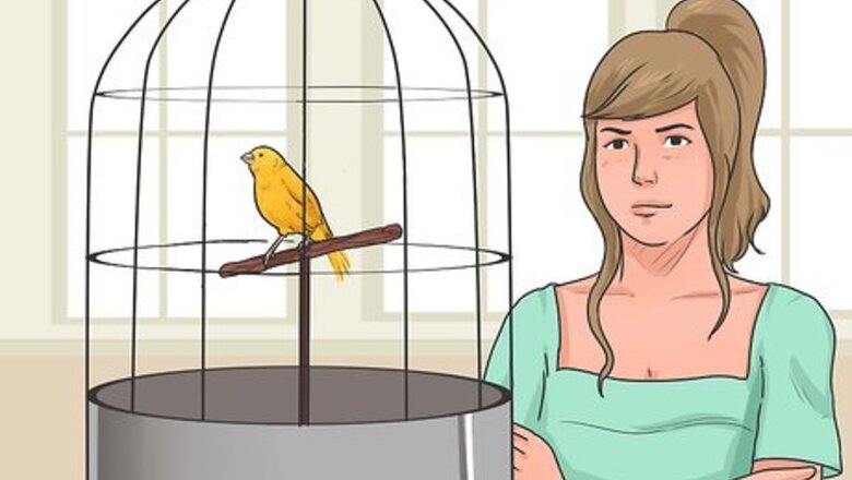 How to Train Your Canary