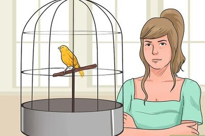 How to Train Your Canary