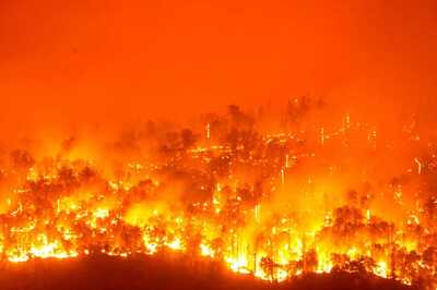 Science-wise: The Forests Are Burning, And We May Not Be Doing Enough to Protect Them