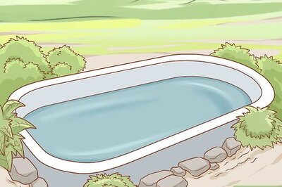 How to Attract Kingfishers