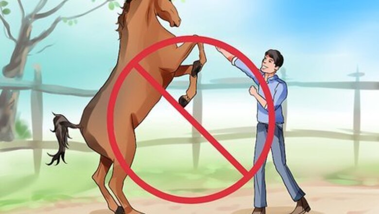 How to Be Comfortable Around a Bad‐Tempered Horse