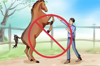 How to Be Comfortable Around a Bad‐Tempered Horse