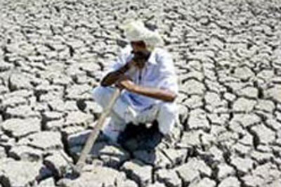 Assam holds frog marriages for rain