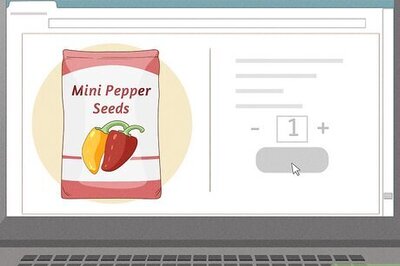 Growing Mini Peppers from Seed: The Ultimate Guide