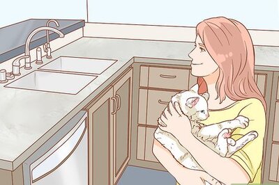 How to Express a Cat's Bladder