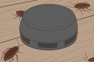The Best Ways to Get Rid of Cockroaches in Your Home