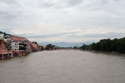 Government to plant 4 crore trees along Ganga river