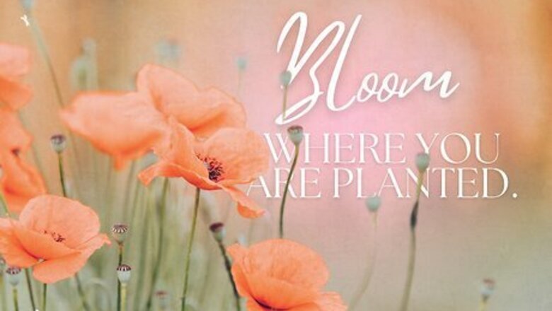 60+ Positive Vibes Messages + Sharable Graphics