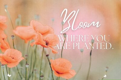 60+ Positive Vibes Messages + Sharable Graphics