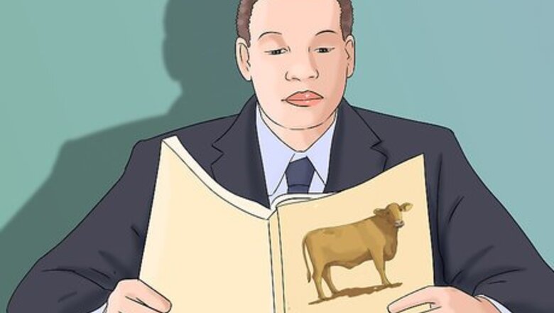 How to Identify Red Brangus Cattle