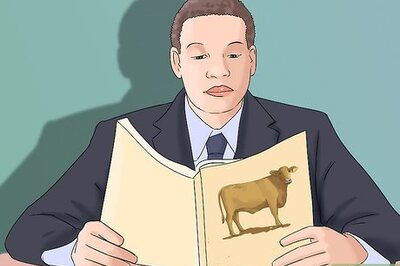 How to Identify Red Brangus Cattle